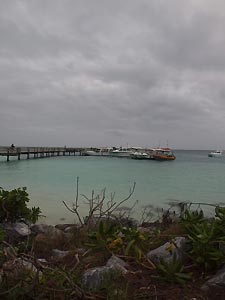 Heron Island Jetty and boats. Heron Island Resort, Australia
