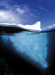 Antarctica,ice diving
