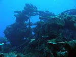 Eidsvold wreck at Christmas Island