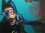 Michaelmas Cay, Great Barrier Reef, Australia