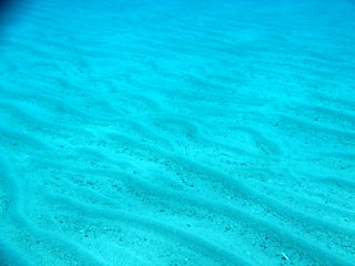 Lines in the Sand.