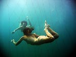 Shark Netting, Turning the Tide