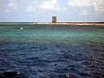 Raine Island, the world's largest turtle rookery