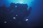 Silhouette of the SS Bulli, Tasmania