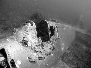 Hellcat Wreck