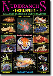 Front cover of the new 'Nudibranchs Encyclopedia - Catalogue of Asia and Indo-Pacific Sea Slugs' by Neville Coleman.