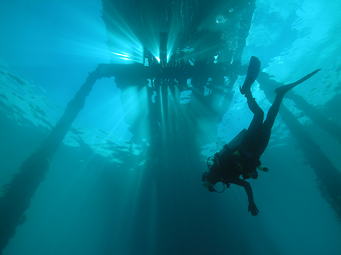 Jetty Rays