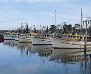 Fishing boats in the harbour of Ballina - Photo Courtesy Tourism NSW