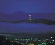 View of the Telstra Tower on Black Mountain - Photo courtesy of Tourism NSW