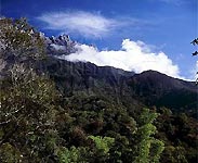 Mount Kinabalu and surrounding rainforest