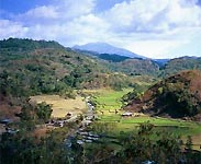 Landscape in Flores