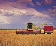 Wheat harvesting - Photo courtesy of Tourism NSW