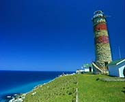 Lighthouse at Cape Moreton - Photo and text courtesy of Tourism QLD