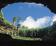 Umpherston Cave Gardens, Mount Gambier - Photo courtesy of Tourism SA