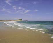 Nobbys Beach - Photo courtesy of Tourism NSW