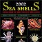 2002 Sea Shells - Neville Coleman's Catalogue of Indo-Pacific Mollusca