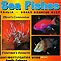 Indo-Pacific Sea Fishes - Northern Australia - Great Barrier Reef