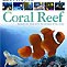 24 hours at the Coral Reef. kids book