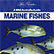 Wild Australia Guide - Marine Fishes